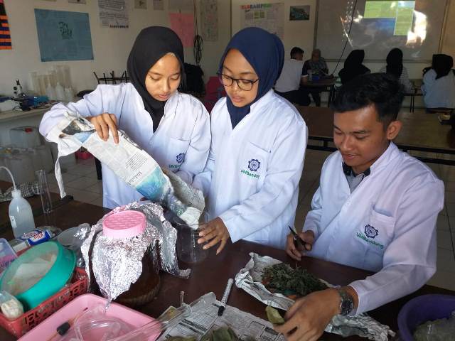Inovasi Mahasiswa Farmasi UM Bandung Manfaatkan Daun Cincau sebagai Kapsul Anti Inflamasi 